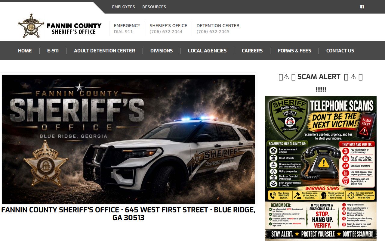 Fannin County arrest history source at the sheriff and detention website