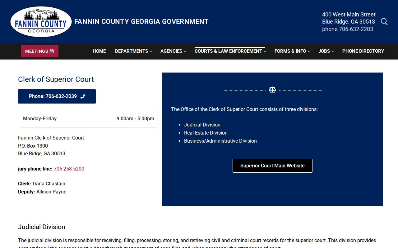 Fannin County criminal court cases Superior Court Clerk page