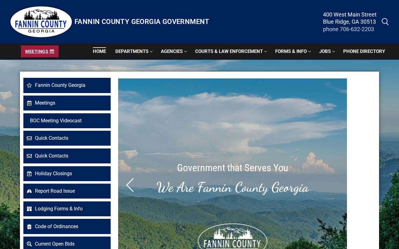 Fannin County criminal history courthouse and government page