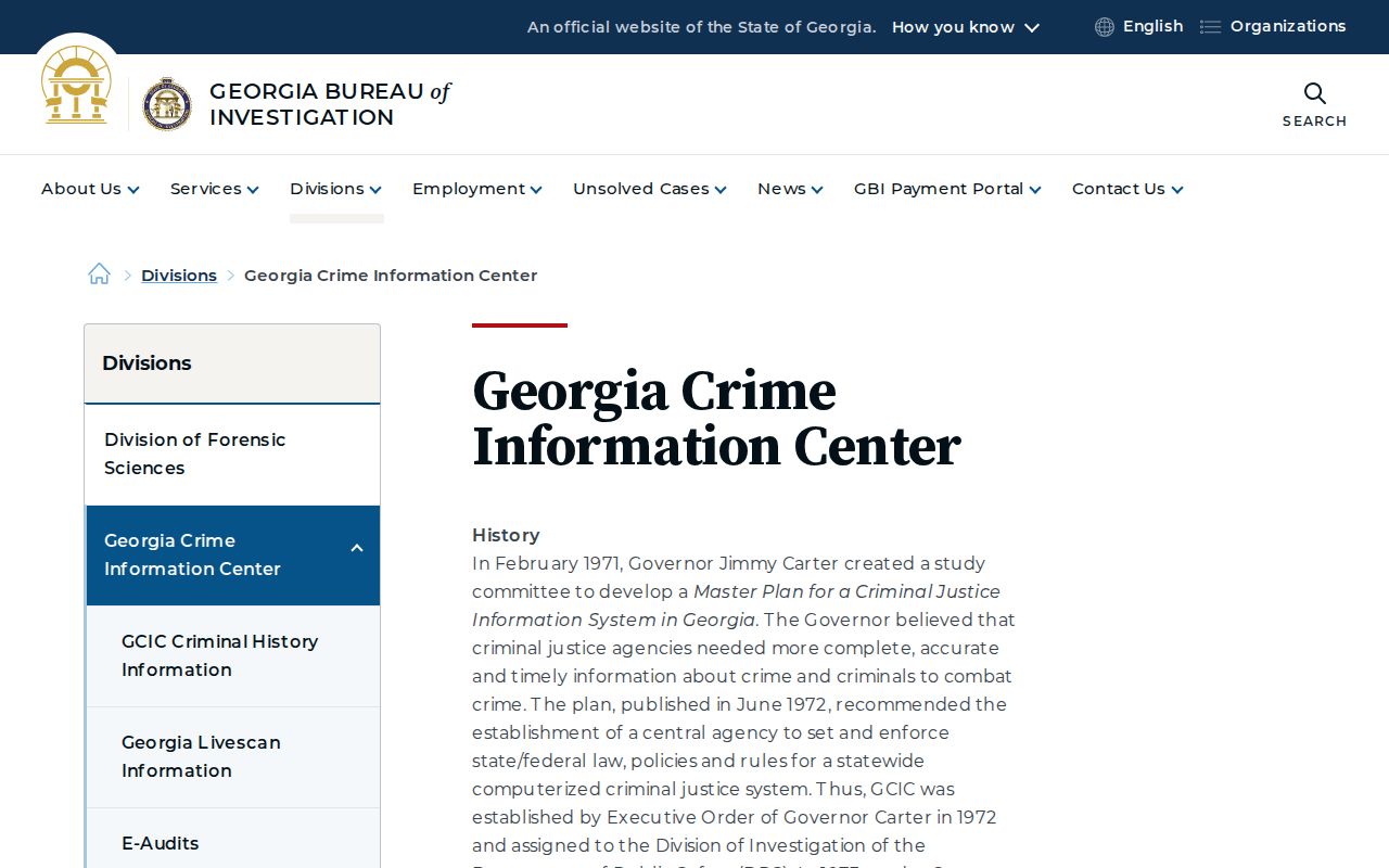 Fannin County criminal history Georgia Crime Information Center overview